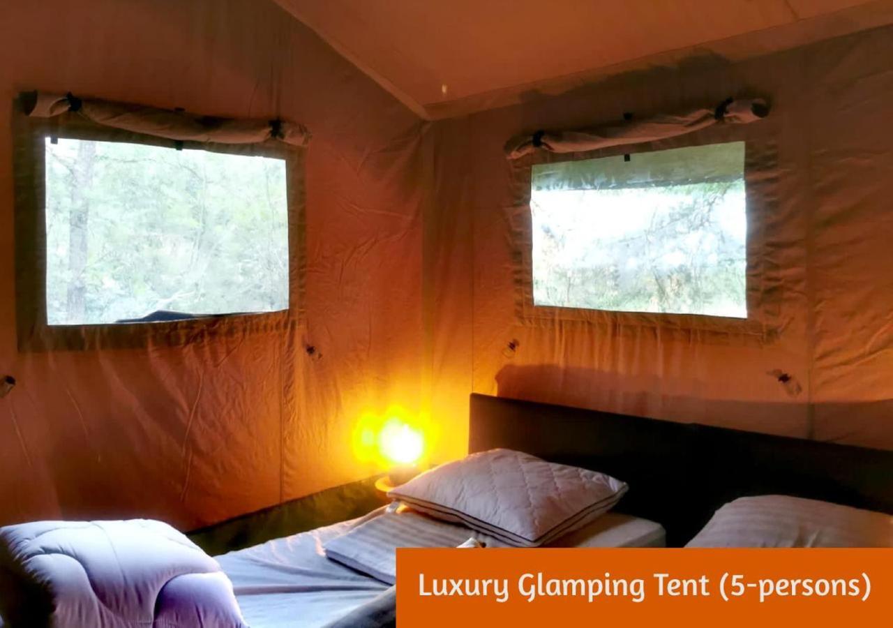 Glamping In Nature By Outdoors Lodge Holten