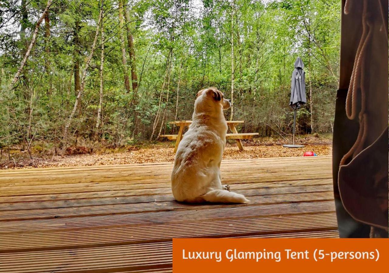 Glamping In Nature By Outdoors